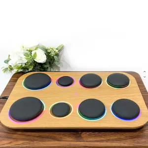 Electric Spa Stones Massager and Heater Kit Heated Stone Therapy Massager Spa Set