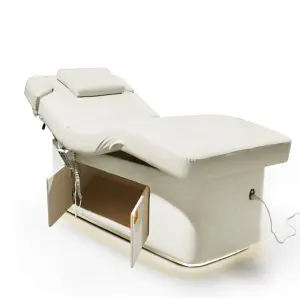 Electric 2 Motor Wooden Base Cabinet Treatment Beauty Table Heating Cosmetic Eyelash Massage Facial Bed