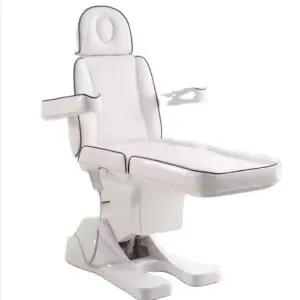 3 Motors Electric Facial Bed Spa Beauty Basic Cosmetic Tattoo Bed for Salon Special Use Massage Table Furniture