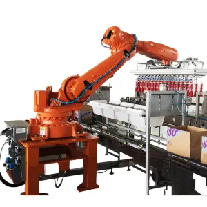 Famous Packing Machine Robotic Case Packer for Drinks Bottle and Food Pouches
