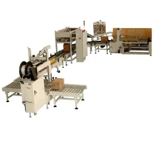 Automatic Beverage Pet Glass Bottle Box Case Packer Carton Erector Sealer