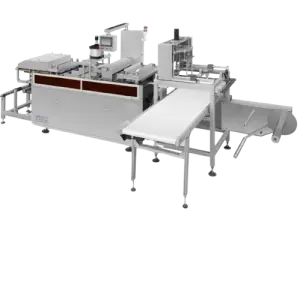 Disposable Containers for Strawberry Dessert Rectangular Cake Box with Lid Pastry Tray Bakery Plastic Box Cover Making Machine