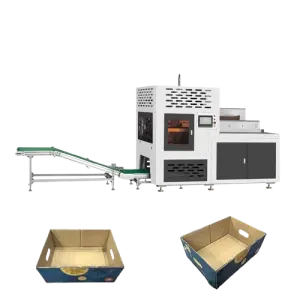 Forbona Cake Carton Forming Machine With Bottom Sealing Case Erector
