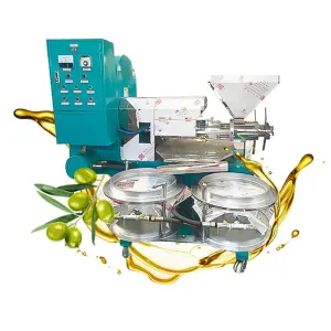 50kg/h/600kg/h Corn Oil Presser Castor Sunflower Seed Cold Oil Press Mustard Cooking Oil Making Machine