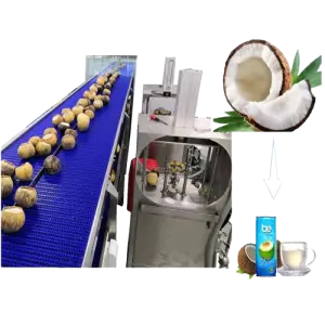 Coconut Extractor Processing Coconut Oil Pressers Extraction Grinding Machine Coconut Water Production Line