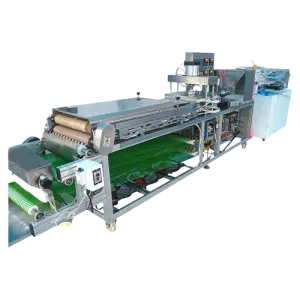 Fast Electric Roti Maker Chapati Machine Chapati Maker Tortilla Machine Supplier