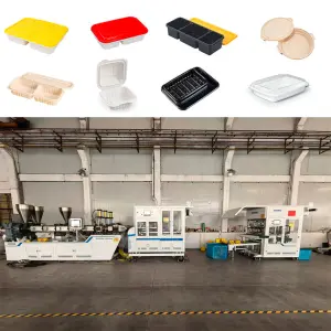 Labor-saving Fully Automatic One-step Thermoforming Machine for pp Food Tray Eco-friendly Lunch Boxes Are Available on Campus