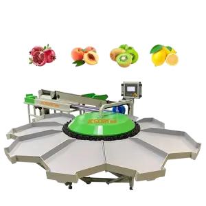 Small Fruit Weight Grader Kiwi Weight Grading Machine Durable Stable Kiwi Fruit Grading Machine