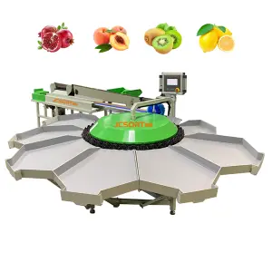 Small Kiwi Weight Grading Machine Durable Stable Kiwi Fruit Grading Machine