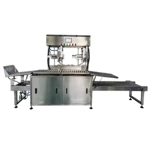 Full Automatic Milk Beverage Fertilizer Liquid Bag in Box Filling Machine Plant Production Line