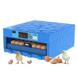 64- 320 Egg Incubator and Hatcher Automatic Solar System with Double Power Tray Type for Farm Use