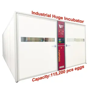 Yunfeng Incubator 115200/76800/57600/38400/19200 PCS Capacity Single Stage Automatic Hatcher Machine Egg Incubator Poultry Farm