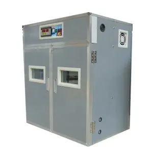 Automatic Egg Incubators for Chickens
