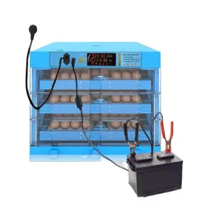 Dual Power 220V 12V 48 64 Egg Fully Automatic Egg Hatching Machine Incubator Dual Power Brood Egg Incubators for