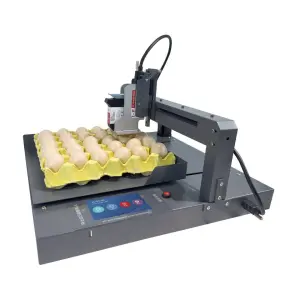 Fully Automatic Egg Ink Jet Printer 5-inch Touch Screen 600 or 300 Dpi Tij Continuous Date Logo Egg Inkjet Printer
