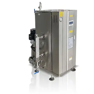 Boiler Machine for Industrial Usage Automatic Clothes Iron Steam Output Vertical Style Low