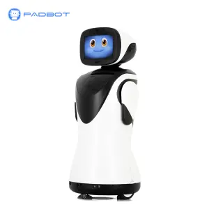 Intelligent Interaction Commercial Reception Robots Face Recognition Marketing Assistant AI Transformer for Advertising