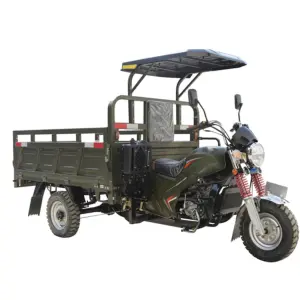 250CC Three Wheel Motorcycle Motor Tricycle Cargo Agricultural Motorized Tricycles