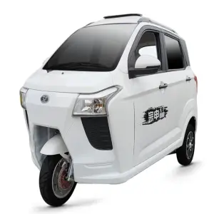 Motorized Tricycle 200cc EEC Supported Gasoline Motorcycle for Carry Passengers