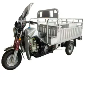 3 Wheel 200cc Gasoline Motorized Tricycle Motorcycles Adults Cargo Tricycle for Farming