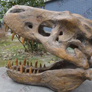 Fiberglass T-Rex Head Skeleton Artificial Dinosaur Fossil for Amusement Park Theme Facilities