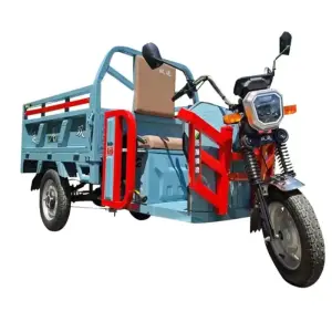 3 Wheel Electric Scooter 1000w Cargo Three - Wheeled Vehicle Transportation Electric Tricycles Motorcycle