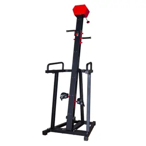 Home Sport Equipment Gym Equipment DFT Fitness D1000 Climbing Machine