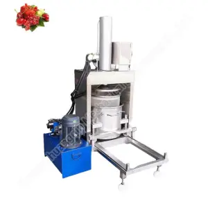 Automatic Filter Press for Oil Industry Cassava Sludge Dewatering Screw Press Apple Fruit Juice Extractor Machine