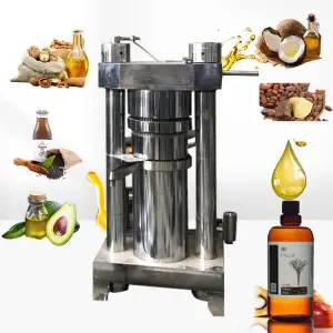 Commercial Oil Press Machine Hemp Oil Extraction Machine Machine for Cold Pressing of Olive Oil