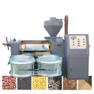 Commercial Oil Press Machine Extractor Black Seeds Peanut Rapeseed Oil Press Automatic Cooking Oil Making Machine