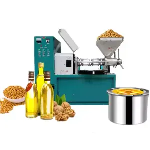 Cold and Coconut Press Oil Machine Oil Press Machine Professional Press Used Olive Oil Machine
