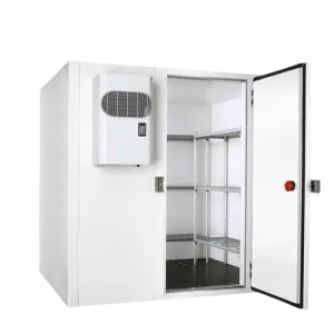 Custom Cold Storage Store Walk in Cold Room Chiller Fresh Fruits and Vegetables