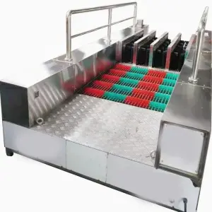 Stainless Steel Electric Rubber Shoe Boot Washer Cleaning Machine 220V Home Use Used Motor Pump for Mine Boot Washing