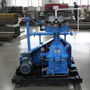 Co2 Cng Hydrogen Biogas Oxygen Propane Natural Gas 300bar Oil Free Hydrogen Electric Turbo Diaphragm Piston Mini Air Compressor