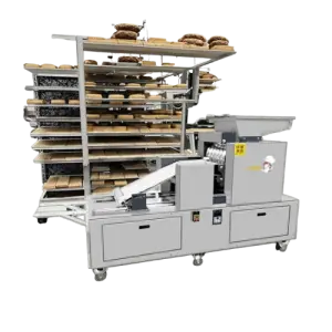 Jenny Cookies Making Machine Commercial Cookie Making Machines Chocolate Chip Cookie Making Machine Salt Biscuit