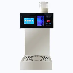 Instant Freezing Milk Snow Ice Machine Snow Cone Machine for Ice Cream Shops