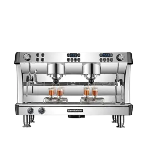 9 Bar Italian Commercial Espresso Coffee Machine Semi-Automatic with Stainless Steel Pump 220V Power