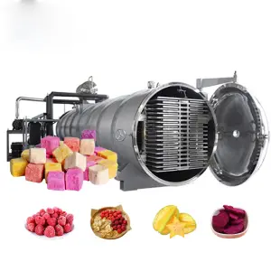 Commercial Industrial Vacuum Freeze Dryer Machine Lyophilizers Freeze Drying Equipment for Fruit Strawberry Candy Coffee Milk