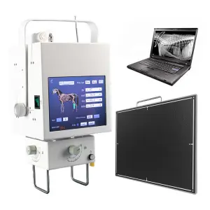 Digital Portable X-Ray Machine with DR Panel Electric Power Source for Medical Examination Equipment