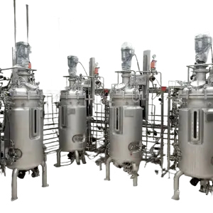 Cell Culture GMP Production Standard Microbial Fermentation 200L Stainless Steel Stirred tank Bioreactor Fermenter