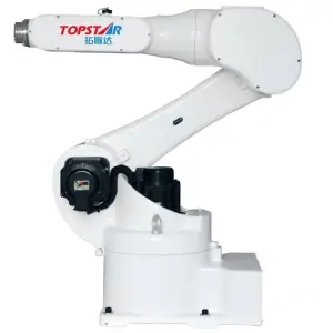 OEM Intelligent Collaborative Robot Arm Cobot Automation with 6 Axis From Supplier for Welding Polishing Screwing