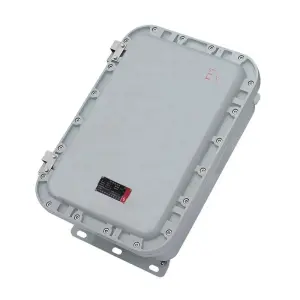 Explosive Atmosphere Aluminum Alloy Enclosure Stainless Steel Box Polyester Plastic Ex E d IIA IIB IIC DIP