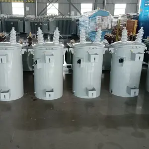 Oil Immersed Cooling Transformer 100kva 12.47kV/13.2kV/13.8kV 0.4kV Single Phase Pole Mounted Distribution Transformer