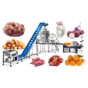 Full Auto Mesh Net Bag Packing Machine with Clip Function for Potato Onion Garlic Orange Vegetables Mesh Bag Packing Machine