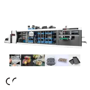 Fully Automatic Four Stations PP/PVC/EPS Plastic Takeaway Food Fruit & Ice Cream Container Production Line with Motor & Pump