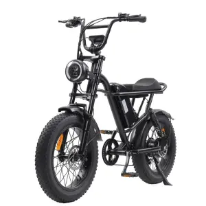 Battery Operated 750W Fat Tyre Electric Motor Mountain E Bike With Full Suspension 20" Wheel Ebike Bicycle Adults