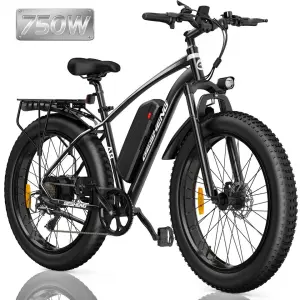 High Power 48V 15Ah Electric Hybrid Sports E Bike Dual Motor Electric Dirt Mountain Fat Tire Ebike for Adults