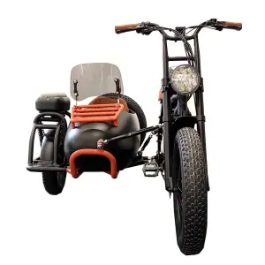 3 Wheels Cargo Electric Tricycle for Adults Electric Bike with Passenger Use