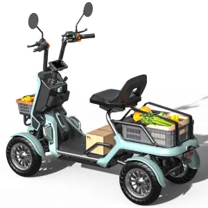 S20-15 500W Newly Stylish 4-wheels Utility Electric Scooter 800W Vehicle for Last Mile Delivery