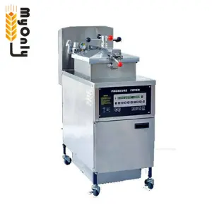 Pressure Fryer Gas